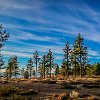 Nevada Beach and Rabe Meadows